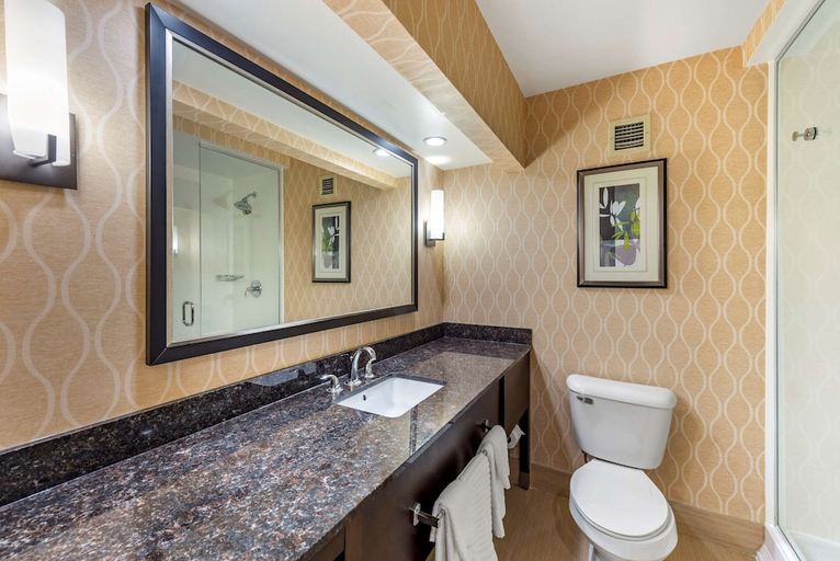 Bathroom 3, Comfort Suites Chesapeake - Norfolk, Chesapeake