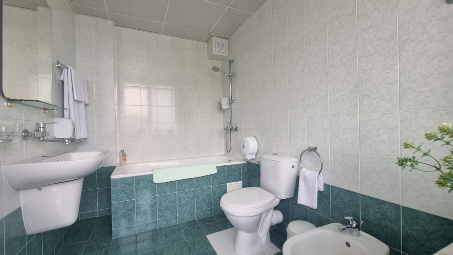 Bathroom 5, Hotel Jeweller, Rousse