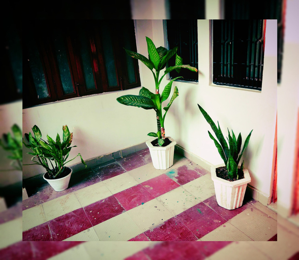 Others 4, Kashyaam Inn, Varanasi