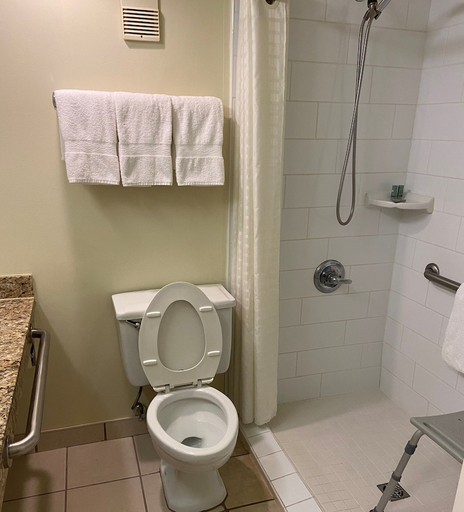 Bathroom 4, Best Western Crossroads Inn, Walton