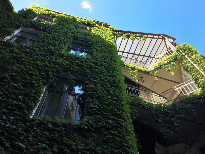 Exterior & Views 2, Krakow For You, Kraków City