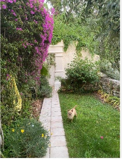 Others 2, Somptuous exotic villa in Cannes, Alpes-Maritimes