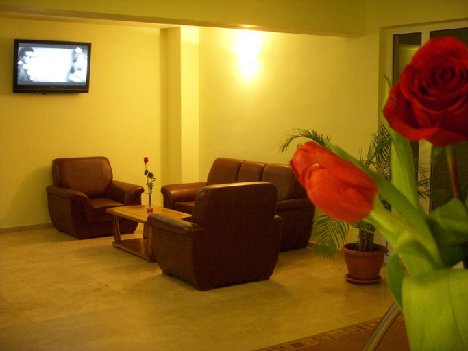 Public Area 2, Hotel Decebal, Brasov