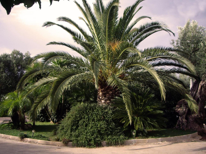 Exterior & Views 2, Il Gallo, Bari