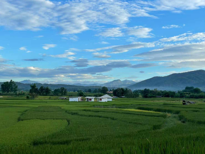 Others 5, Chom Na Kiang Doi, Pua