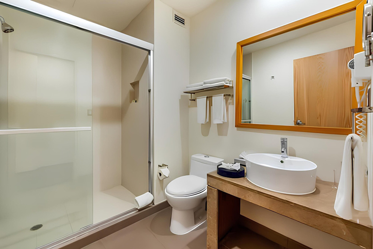 Bathroom 3, Hotel Torreon, Torreón