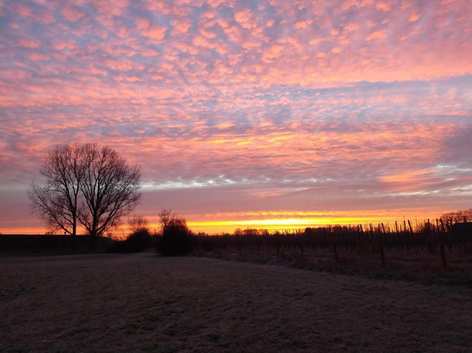 Others 2, Bed and Breakfast Maas en Waal, Beuningen