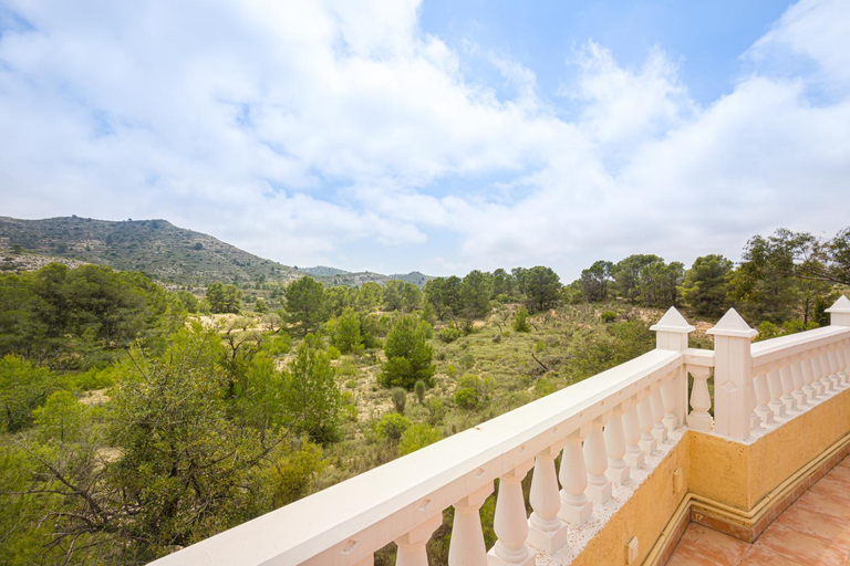 Others 5, Finca Bilou, Alicante