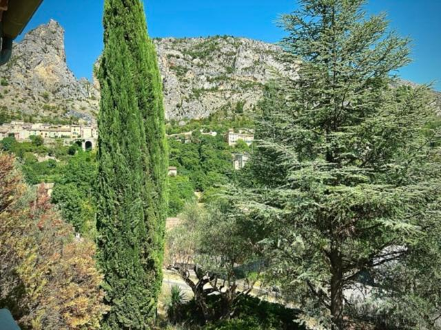 Others 4, Grand appartement en face du village, Alpes-de-Haute-Provence