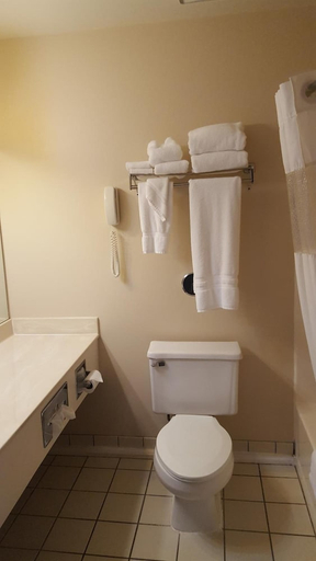 Bathroom 3, Flat Creek Inn And Suites, Sawyer