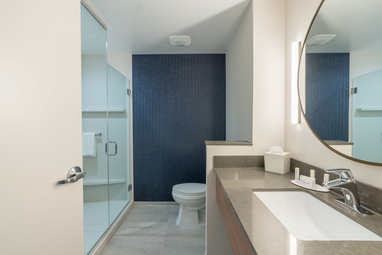 Bathroom 3, Fairfield Inn & Suites by Marriott Gainesville I-75, Alachua