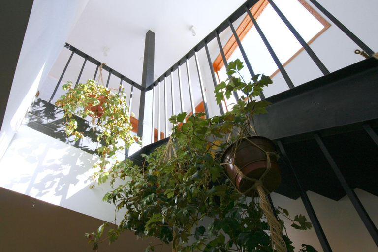 Others 3, Casa California Guesthouse, Valparaíso