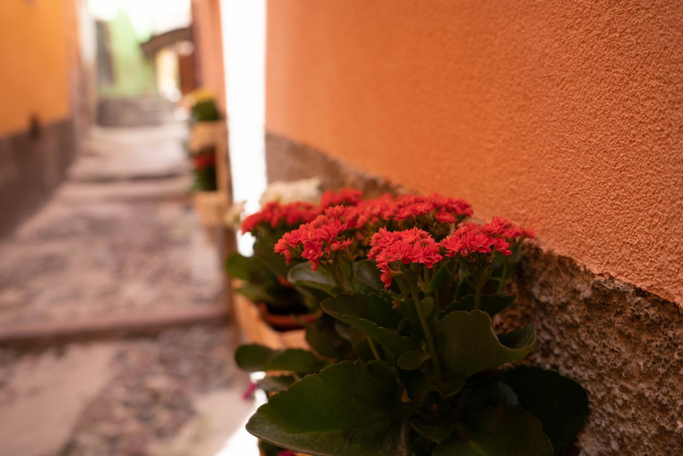 Others 5, Casa Mirto, Oristano