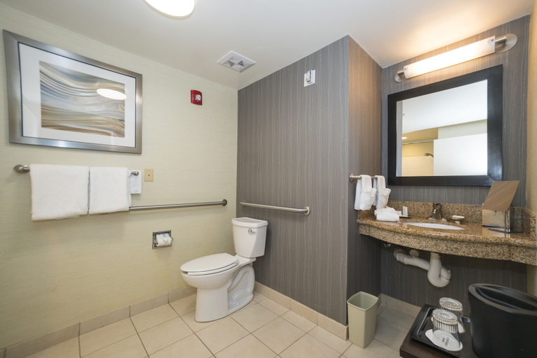Bathroom 5, Courtyard Marriott Vicksburg, Warren