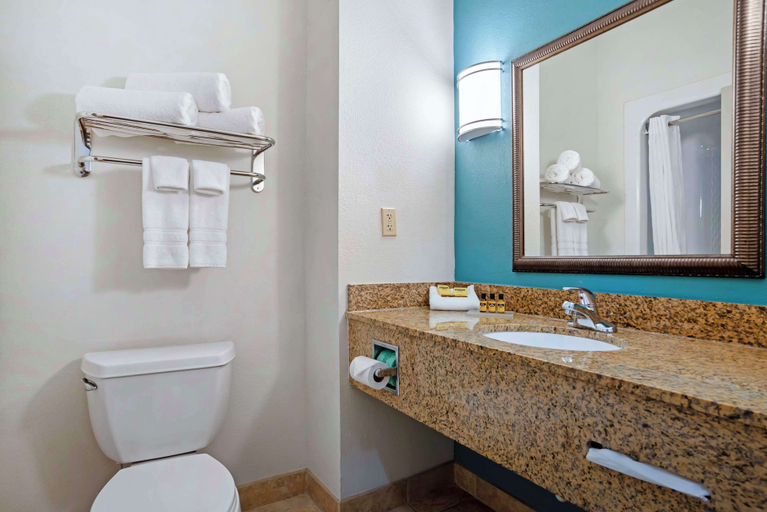 Bathroom 5, Best Western Plus Blue Angel Inn, Escambia