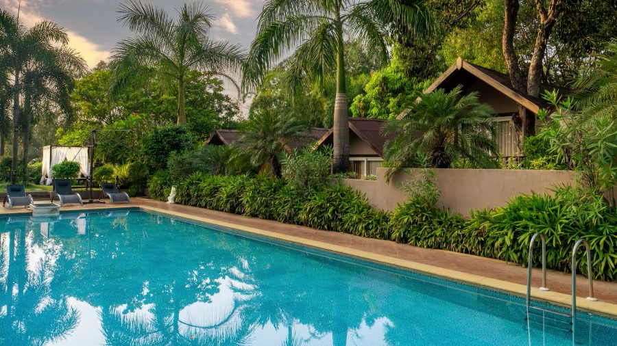 Sport & Beauty 2, Stone Wood Resorts & Spa ,mandrem, North Goa