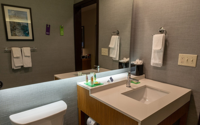 Bathroom 4, Hyatt Place West Des Moines/Jordan, Polk