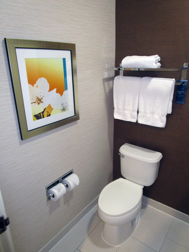 Bathroom 5, Fairfield Inn & Suites by Marriott Denver Tech Center/South, Douglas