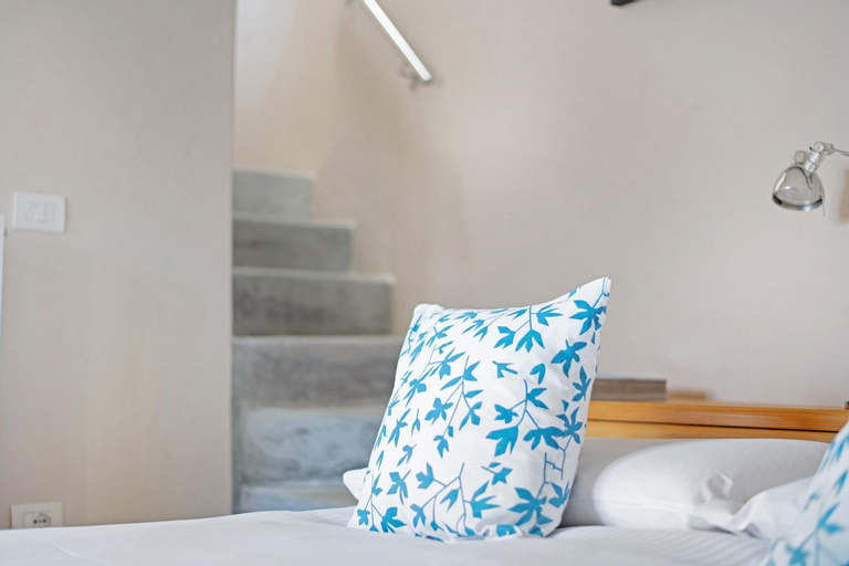 Renovated Barn of the year 1500, Como