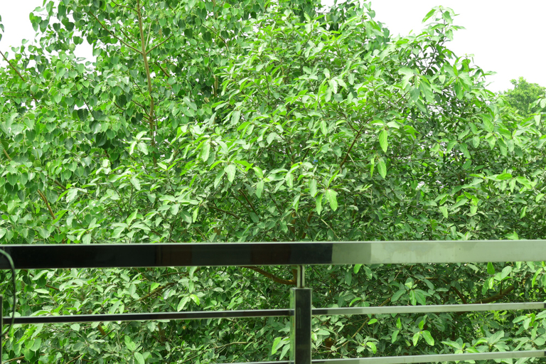 Others 5, TRPOTEL SUBMANGAL, Gwalior