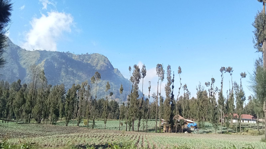 Others 4, Tengger Indah Seruni Bromo, Probolinggo