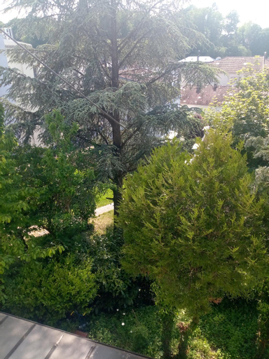 Scenery 1
