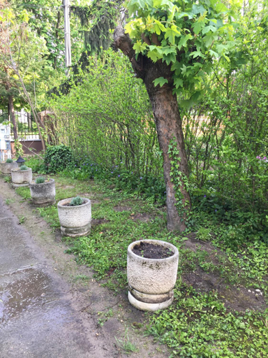 Others 3, Palma Apartmanhaz Siofok, Siófok