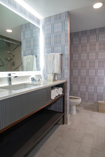 Bathroom 3, DoubleTree by Hilton Poughkeepsie, Dutchess