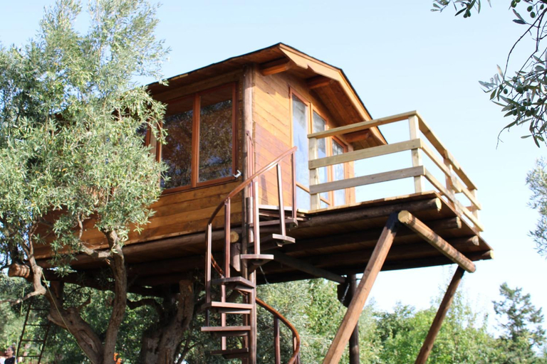 Others 3, The Treehouse - Casa sull'albero al Golden Camp, Catanzaro