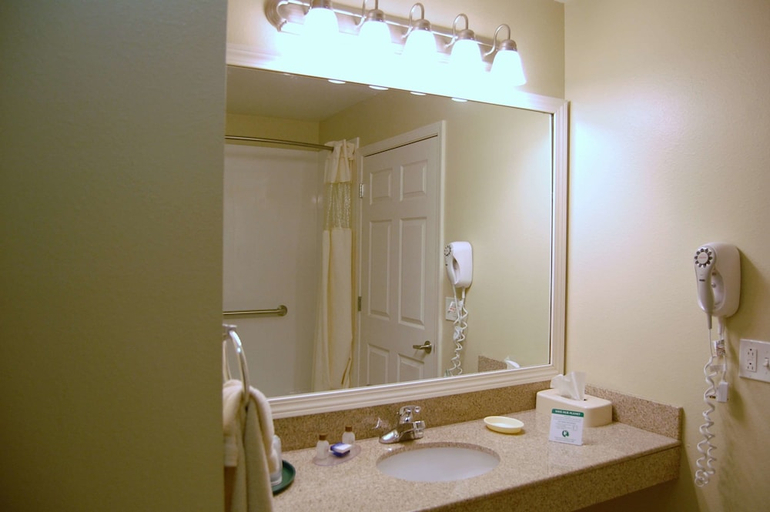 Bathroom 3, Best Western Plus MidAmerica Hotel, Saint Clair