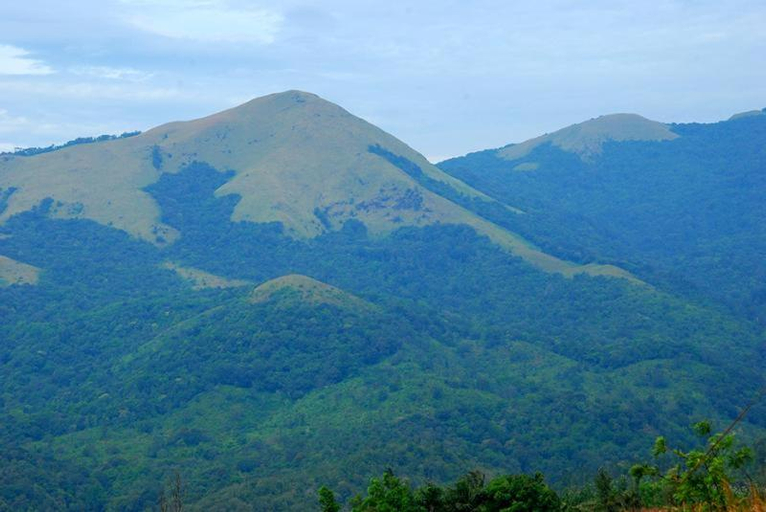 Others 3, The Forest Resort - Muneeswaramudi Eco Hermitage and Farms, Wayanad