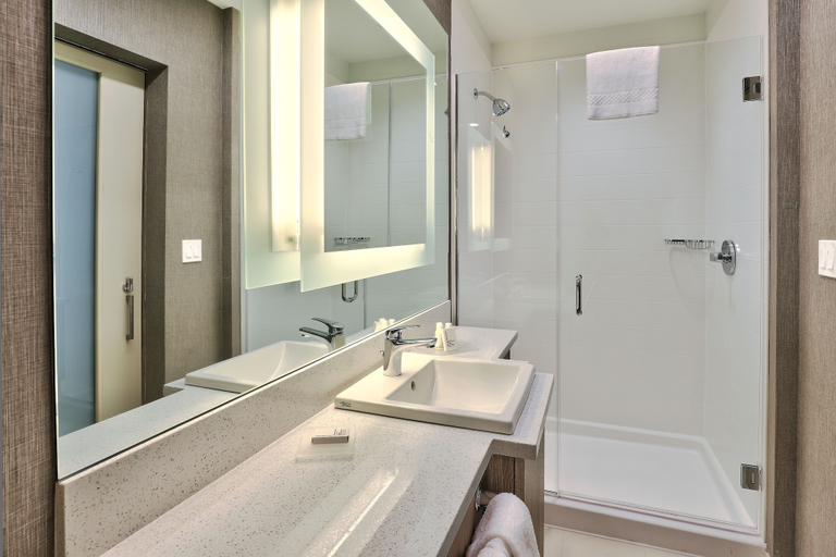 Bathroom 4, Springhill Suites by Marriott Durango, La Plata