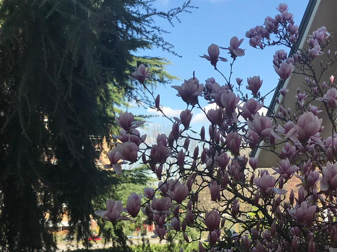 Others 5, B&B Borgo dei Fiori, Milano