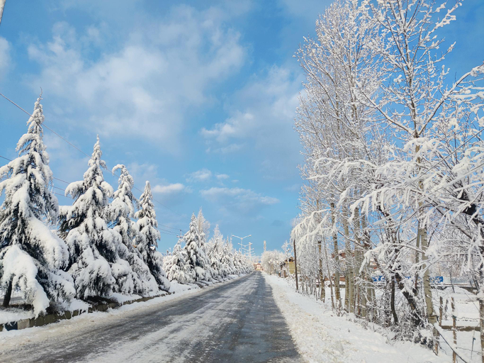 Others 5, Kashmir Homestay , Baramulla