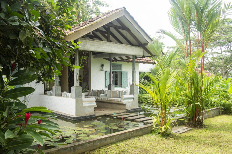 Others 2, 08 Acre Private Tea Estate Close To Galle, Habaraduwa