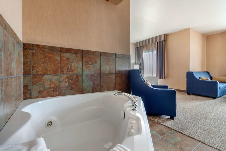 Bathroom 4, Comfort Inn & Suites Mitchell I-90, Davison