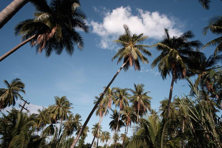 Others 4, Coconut Tree Homestay, Muang Prachuap Khiri Khan