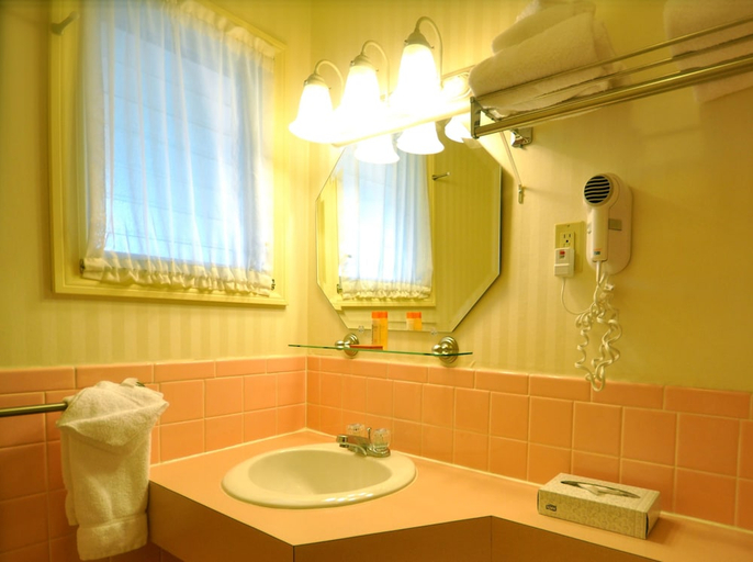 Bathroom 4, The Naswa Resort, Belknap