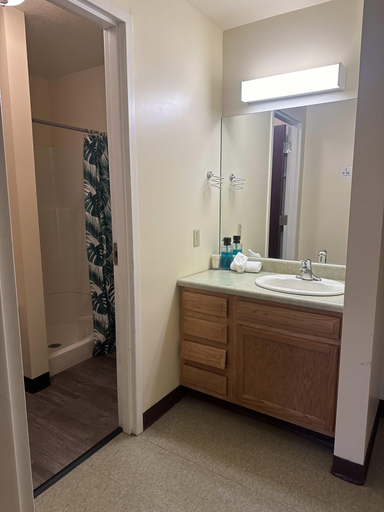 Bathroom 3, 2 Bedroom 2 Bath Apartment Heart of Downtown PIT, Allegheny