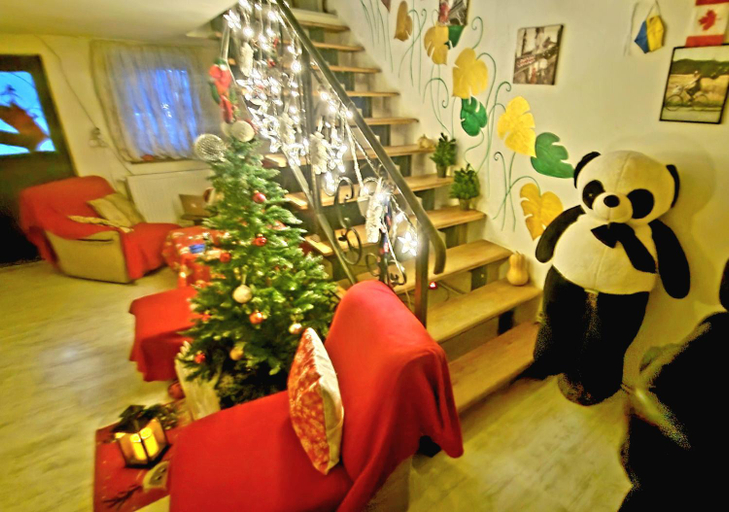 Others 2, happy pandasN12, Borjomi