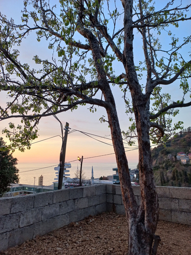 Others 3, Sarp bungalov, Hopa