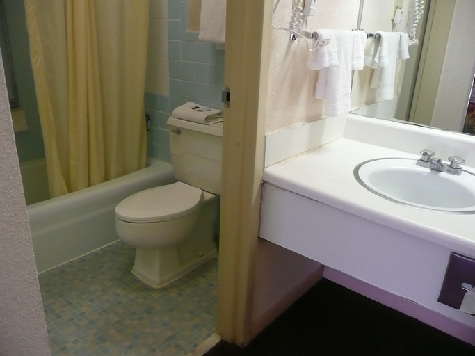 Bathroom 4, Ramada by Wyndham Lumberton NC North, Robeson