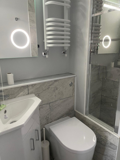 Bathroom 2, Eden Garden, Carmarthenshire