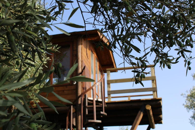 Others 4, The Treehouse - Casa sull'albero al Golden Camp, Catanzaro
