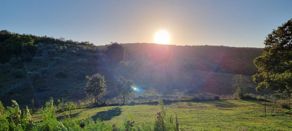 View 5, Rifugio La Foresta, Livorno