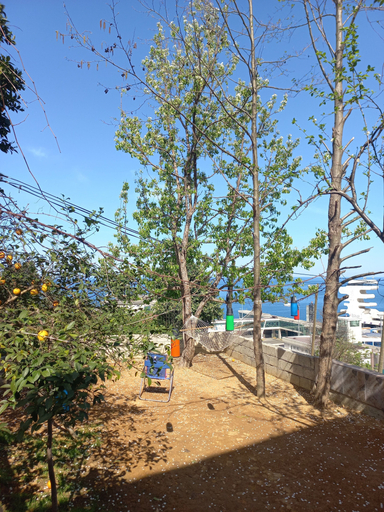 Others 2, Sarp bungalov, Hopa