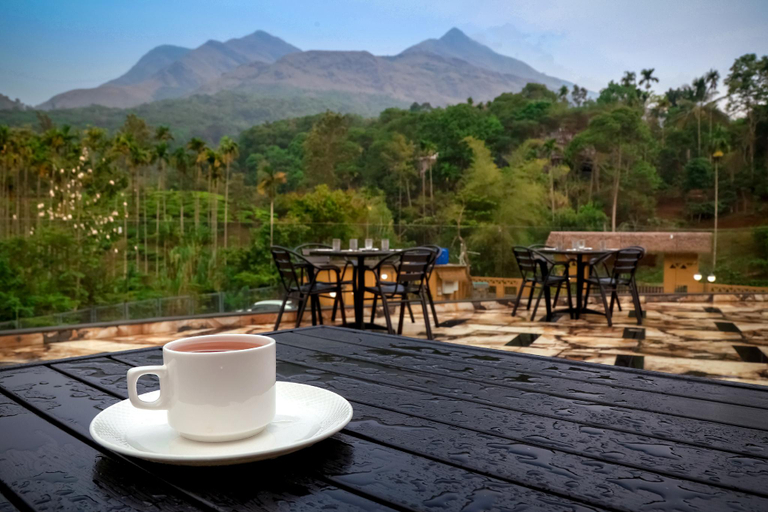 Food & Drinks 3, MAPLEASH RESORT, Wayanad