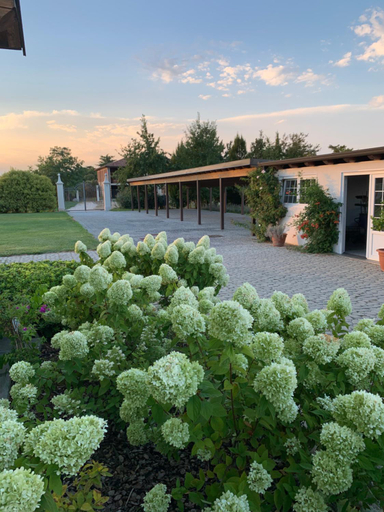 Others 5, Villa San Pietro, Brescia