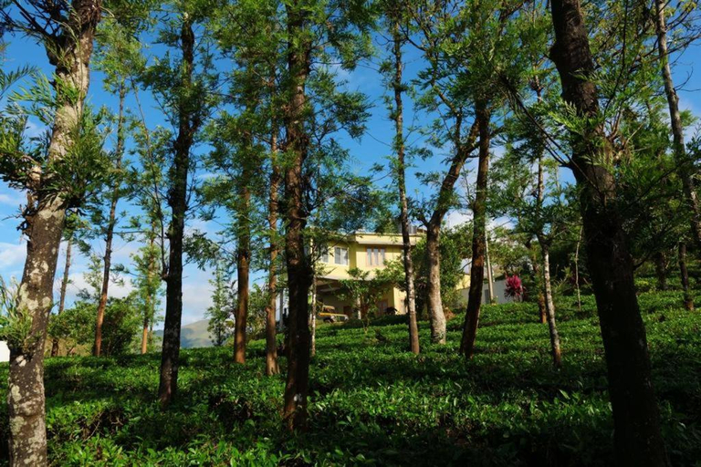 Others 2, The Forest Resort - Muneeswaramudi Eco Hermitage and Farms, Wayanad