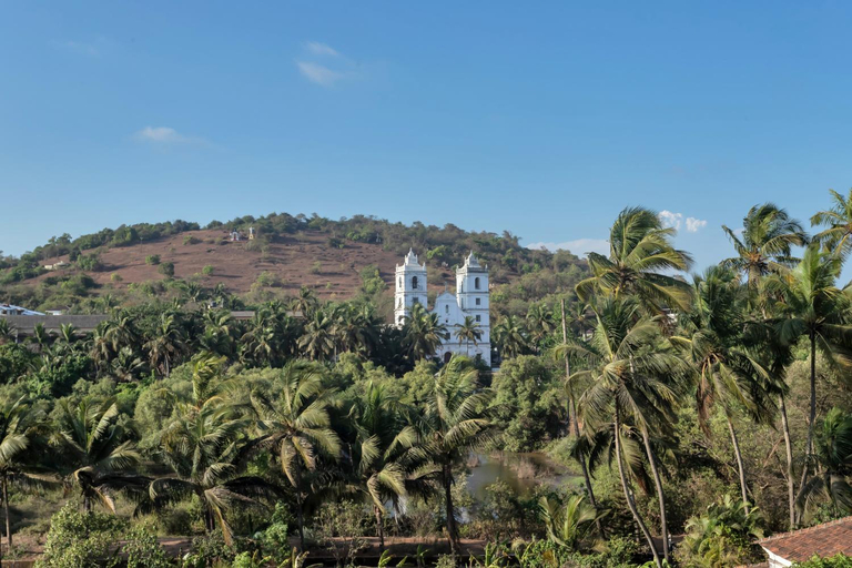 Others 3, Delmare Boutique Hotel, North Goa